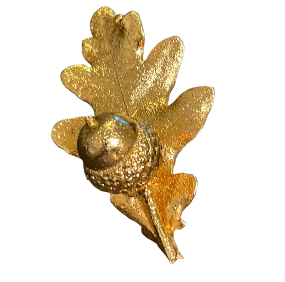 دبوس ورقة الجوز