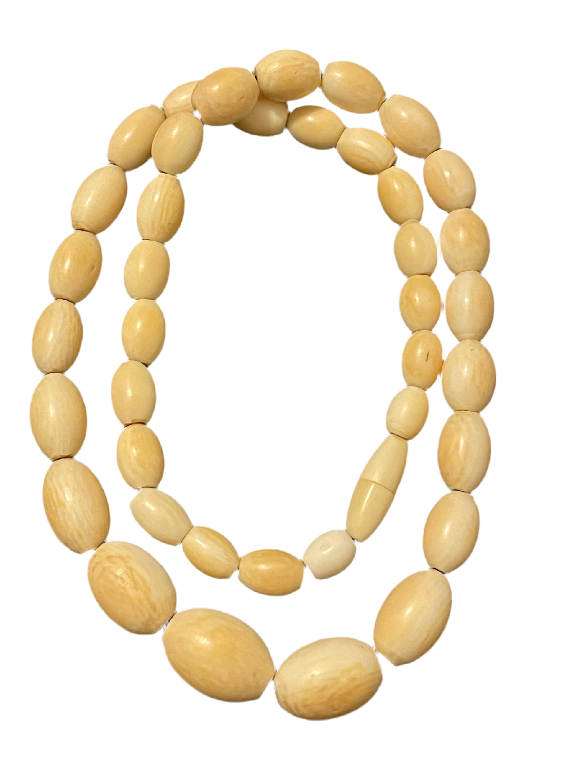 Ancient Elephant Tusk